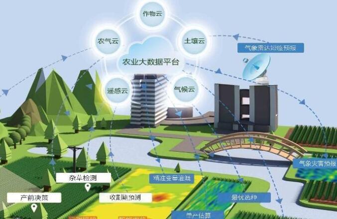 以改革创新赋能数字乡村建设